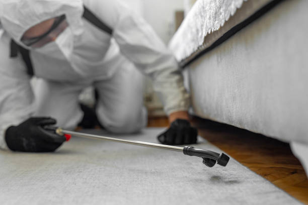 Professional Mosquito Control technician working in Norwood Young America, MN