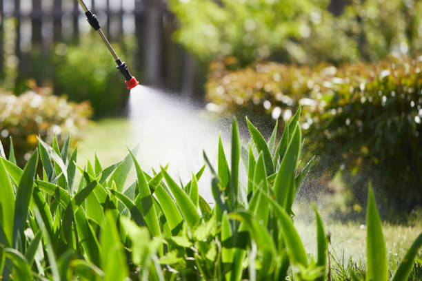 24/7 Emergency Mosquito Control experts in Norwood Young America, MN
