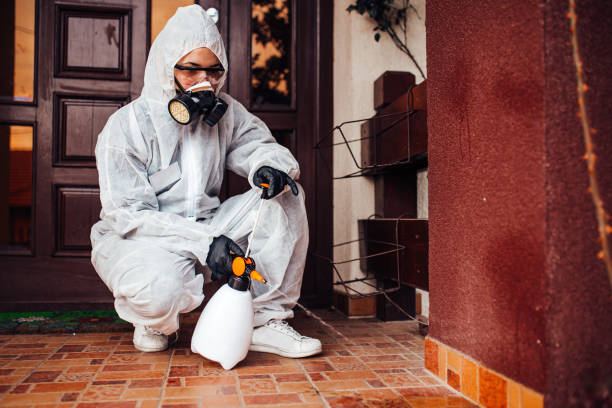 Reliable Mosquito Control contractor in Norwood Young America, MN by Nex Pest Control