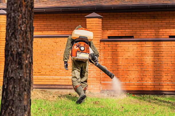 Trusted Termite Control service in Norwood Young America, MN - Nex Pest Control